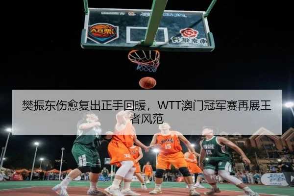樊振东伤愈复出正手回暖，WTT澳门冠军赛再展王者风范